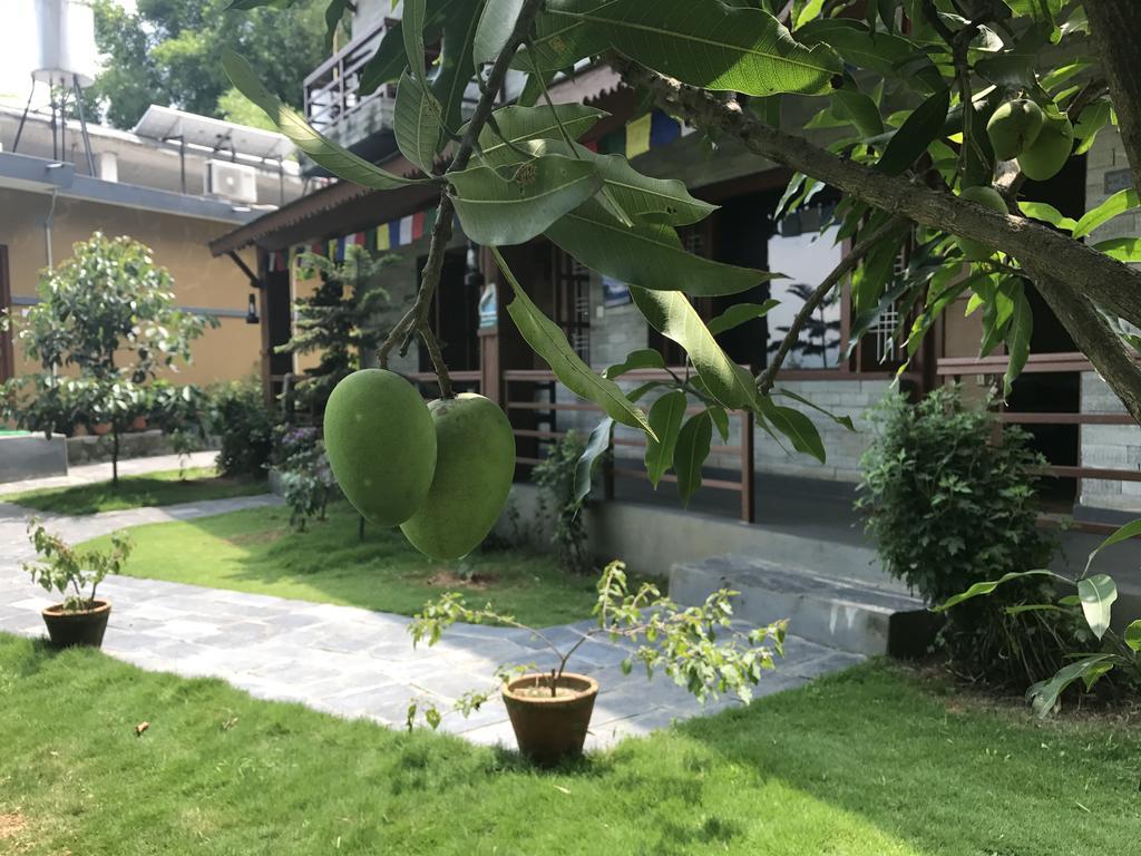Hotel Tourist Residency Ποκάρα Εξωτερικό φωτογραφία